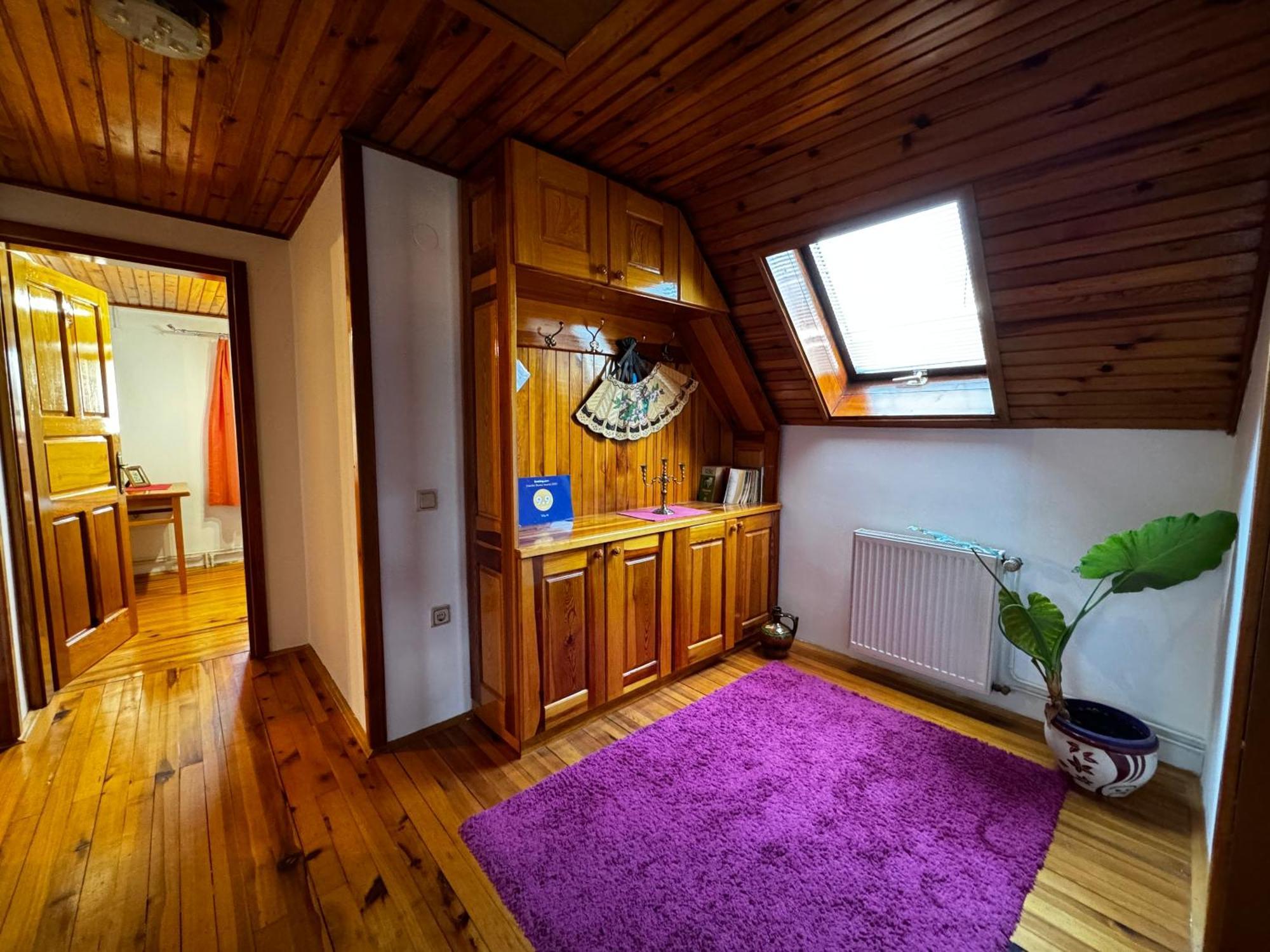 Vila IV Apartment Zlatibor Bagian luar foto